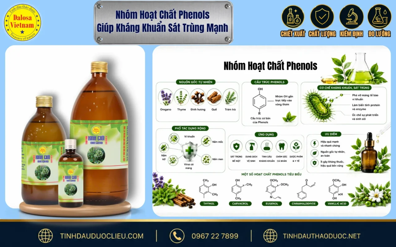 Sơ đồ phân tích nhóm hoạt chất phenols giúp kháng khuẩn sát trùng trong các loại thực vật tự nhiên bên cạnh sản phẩm tinh dầu Dalosa