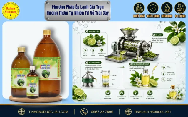 Phương Pháp Ép Lạnh Giữ Trọn Hương Thơm Tự Nhiên Từ Vỏ Trái Cây 1 Sơ đồ quy trình phương pháp ép lạnh giữ trọn hương thơm tách chiết tinh dầu từ vỏ các loại trái cây họ cam chanh bên cạnh sản phẩm Dalosa.