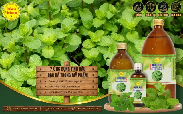 7 Ứng Dụng Tinh Dầu Bạc Hà Trong Mỹ Phẩm 1 Tinh dầu bạc hà trong mỹ phẩm