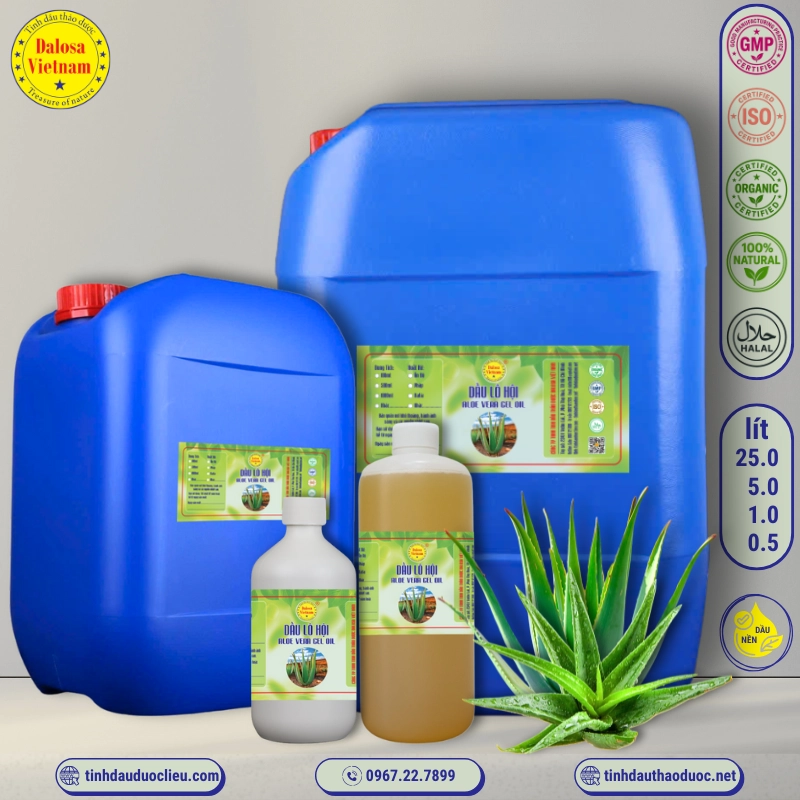 Dầu Lô Hội - Aloe Vera Oil 1 Dầu Lô Hội – Aloe Vera Oil