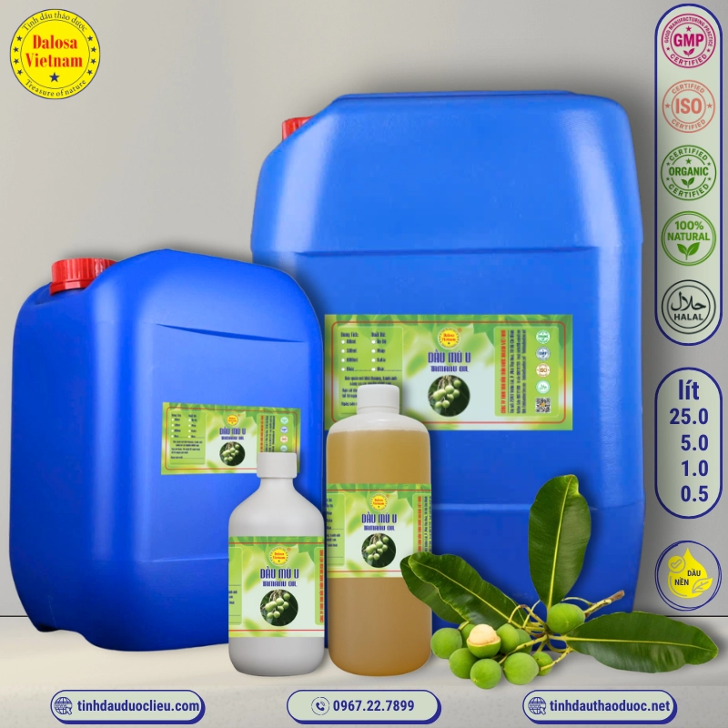Dầu Mù U - Tamanu Oil 1 Dầu Mù U – Tamanu Oil