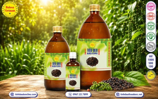 15 Công Dụng Tuyệt Vời Của Tinh Dầu Tiêu Đen Đối Với Đời Sống 1 15 Công dụng tuyệt vời của tinh dầu tiêu đen