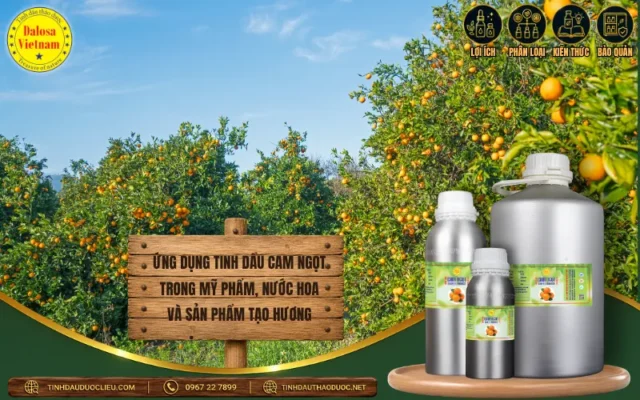 Đồ họa ứng dụng tinh dầu cam ngọt trong mỹ phẩm, nước hoa và sản phẩm tạo hương Dalosa Vietnam