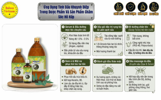 Đồ họa chi tiết ứng dụng tinh dầu khuynh diệp trong dược phẩm và sản phẩm chăm sóc hô hấp Dalosa Vietnam