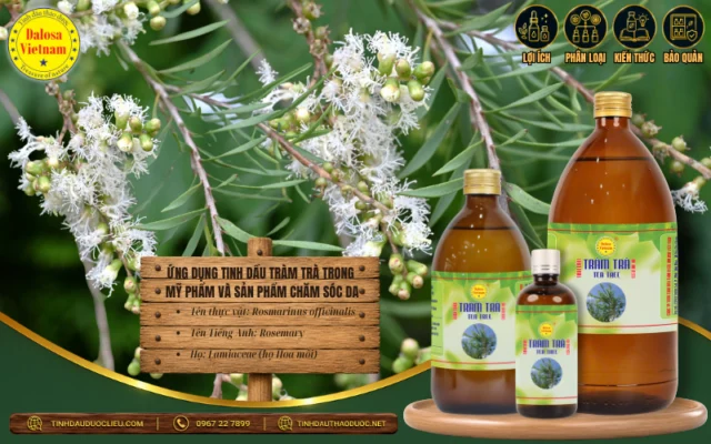 Ứng Dụng Tinh Dầu Tràm Trà Trong Mỹ Phẩm Và Sản Phẩm Chăm Sóc Da 1 : Đồ họa ứng dụng tinh dầu tràm trà và bộ sản phẩm tinh dầu Dalosa Vietnam
