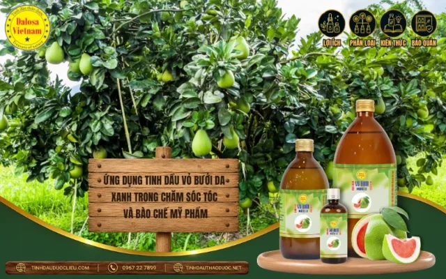 Đồ họa ứng dụng tinh dầu vỏ bưởi da xanh trong chăm sóc tóc và mỹ phẩm Dalosa Vietnam 