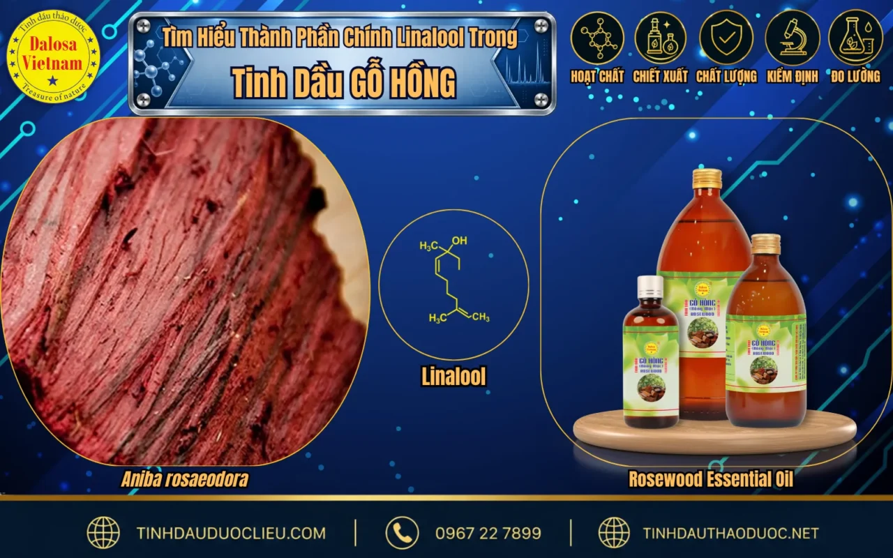 Tìm Hiểu Thành Phần Chính Linalool Trong Tinh Dầu Gỗ Hồng 1 hoat chat chinh trong tinh dau go hong