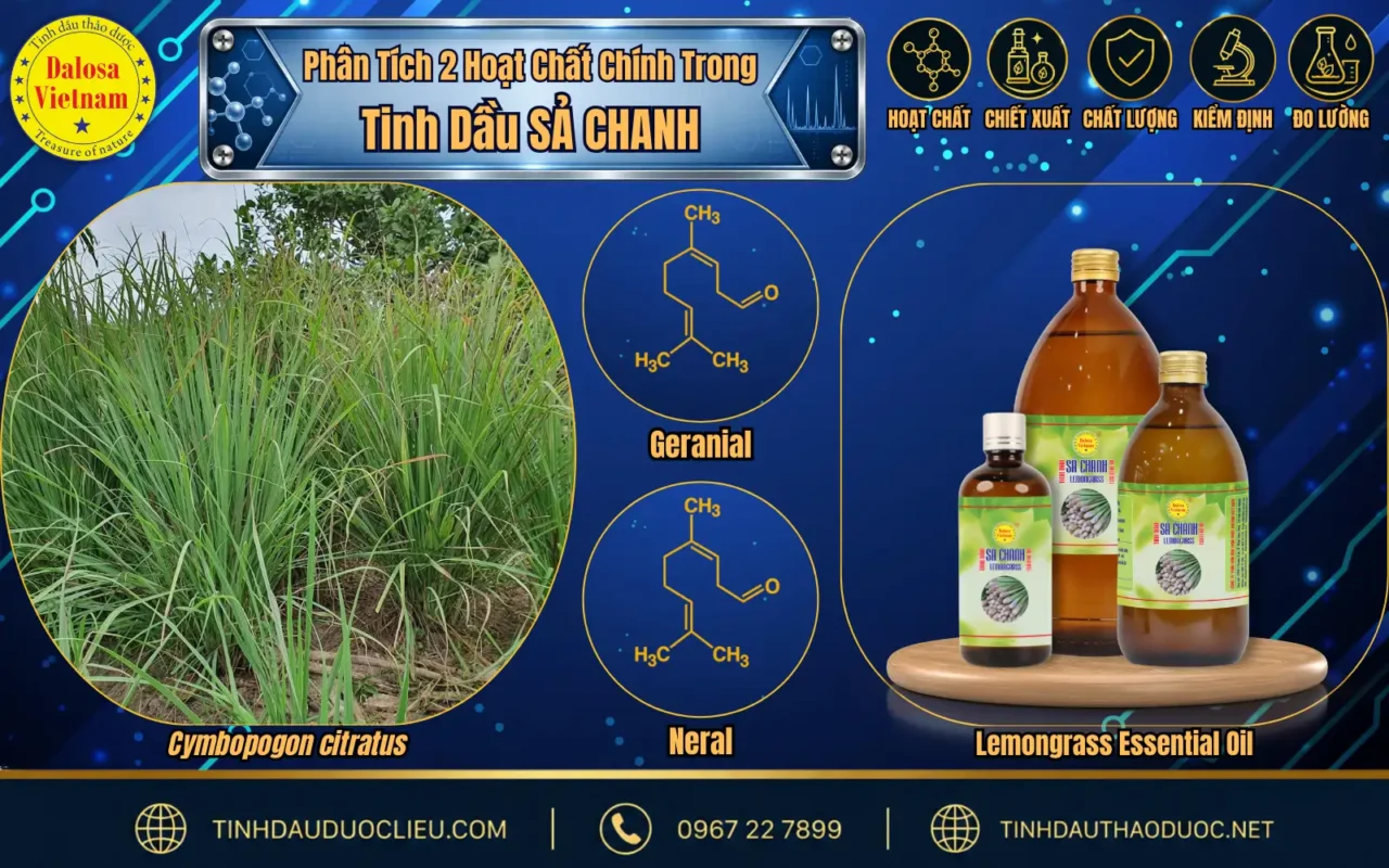 Phân Tích 2 Hoạt Chất Chính Trong Tinh Dầu Sả Chanh 1 hoat chat chinh trong tinh dau sa chanh