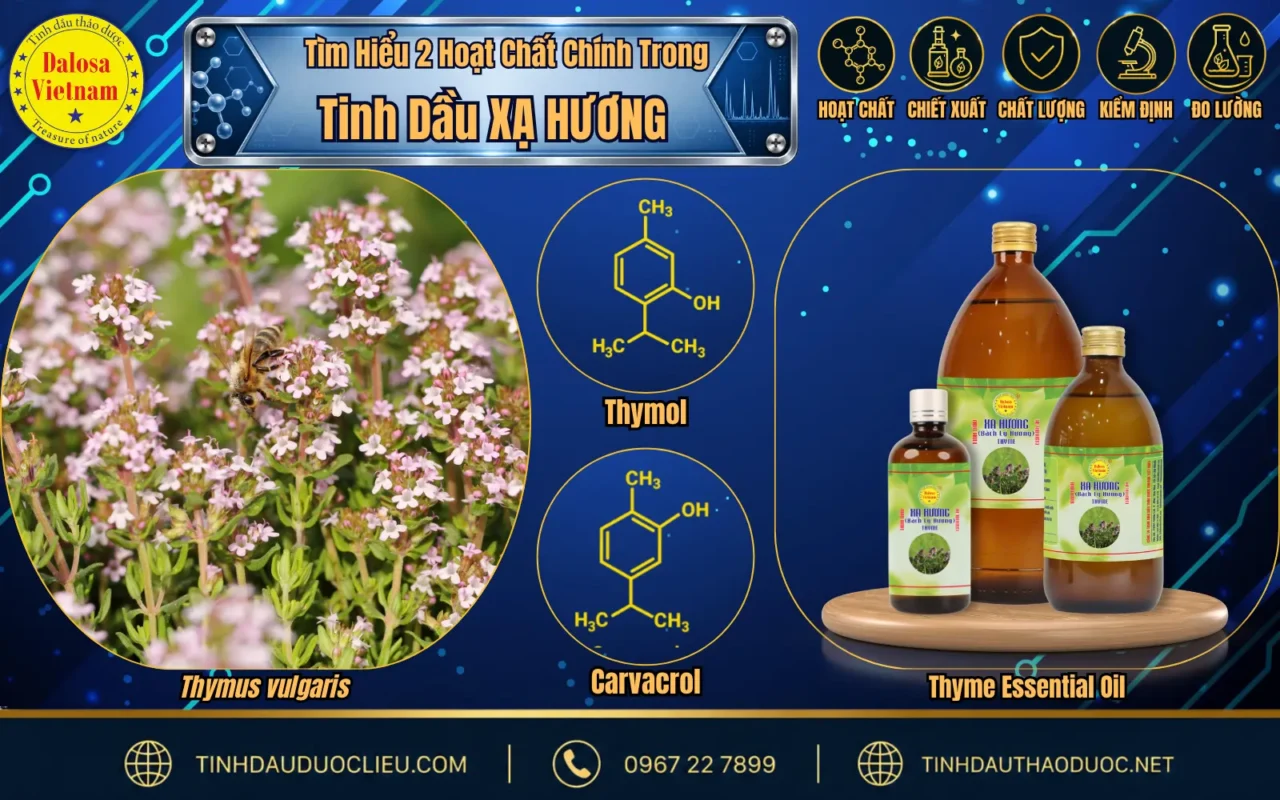 Tìm hiểu 2 hoạt chất chính trong Tinh Dầu Xạ Hương 1 hoat chat chinh trong tinh dau xa huong