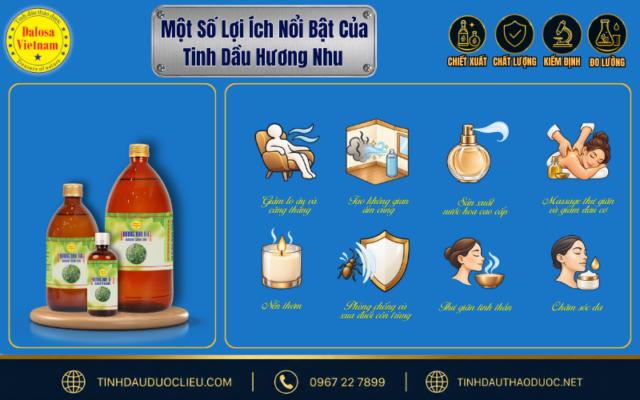 10 Lợi Ích Nổi Bật Của Tinh Dầu Hương Nhu 2 Một số công dụng nổi bật của tinh dầu hương nhu trong đời sống và chăm sóc sức khỏe