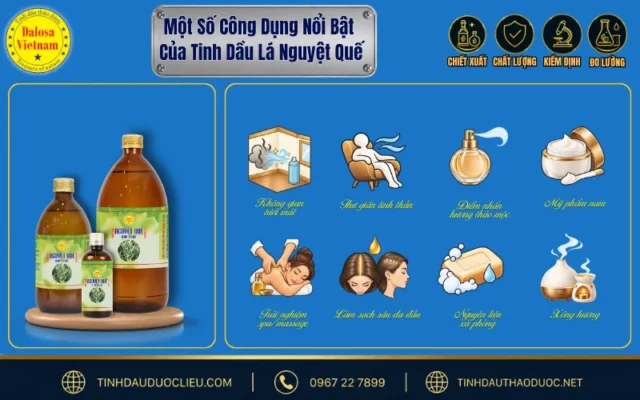 10 Công Dụng Nổi Bật Của Tinh Dầu Lá Nguyệt Quế 2 Một số công dụng nổi bật của tinh dầu lá nguyệt quế