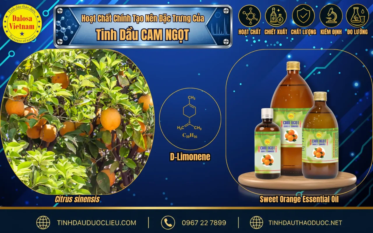 Hoạt Chất Chính Tạo Nên Đặc Trưng Của Tinh Dầu Cam Ngọt 1 phan tich hoat chat chinh tinh dau cam ngot