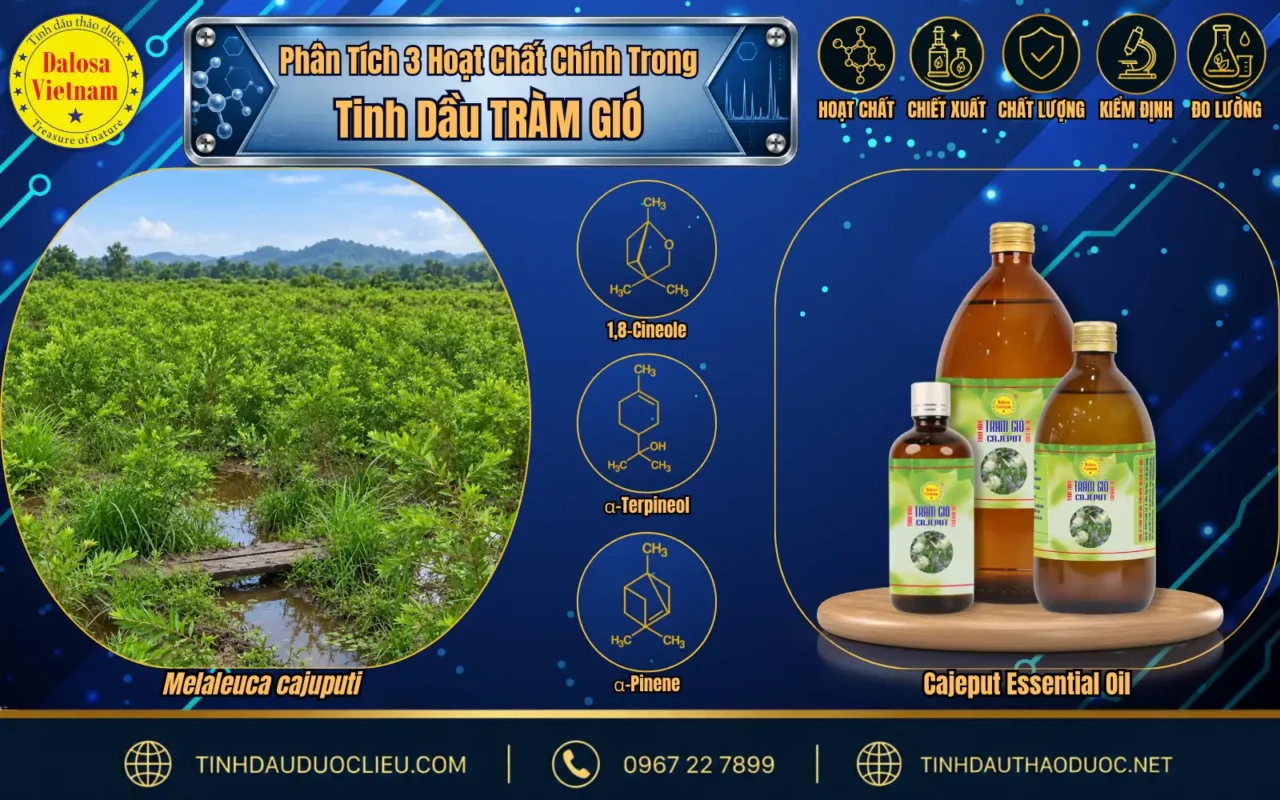 phan tich hoat chat chinh trong tinh dau tram gio