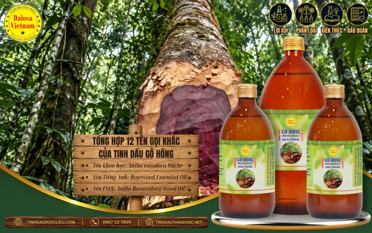 tong hop 12 ten goi khac cua tinh dau go hong