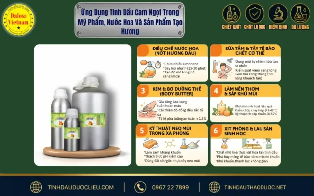 Đồ họa chi tiết ứng dụng tinh dầu cam ngọt trong mỹ phẩm, nước hoa và tạo hương Dalosa Vietnam
