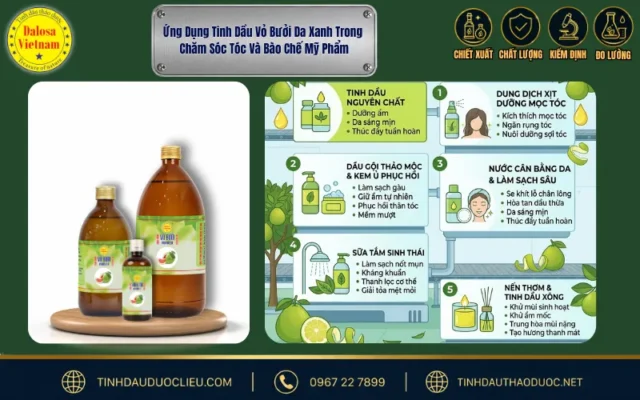 Đồ họa chi tiết ứng dụng tinh dầu vỏ bưởi da xanh trong chăm sóc tóc và mỹ phẩm Dalosa Vietnam