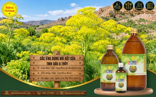 Ứng dụng nổi bật của tinh dầu A Thùy trong sản xuất hương liệu và các chế phẩm tạo hương