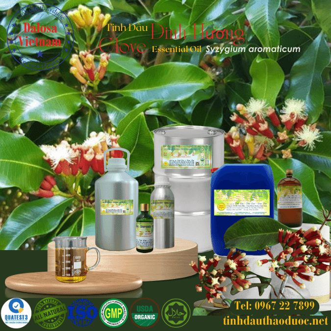 Tinh Dầu Đinh Hương - Clove Essential Oil 1 Tinh Dầu Đinh Hương - Clove Essential Oil 1 lít