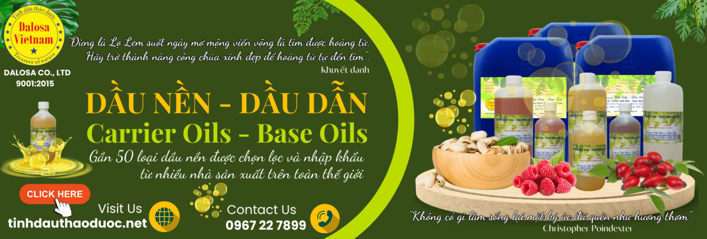 Dalosa Vietnam | Tinh DầuThiên Nhiên, Dầu Nền Thực Vật, Dược Liệu 4 Dầu nền thiên nhiên - dầu dẫn của công ty Dalosa việt Nam