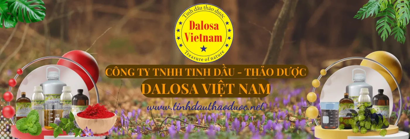 Dalosa Vietnam | Tinh DầuThiên Nhiên, Dầu Nền Thực Vật, Dược Liệu 1 giới thiệu công ty Dalosa Việt Nam