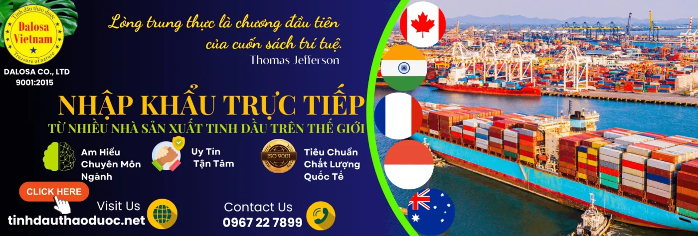 Dalosa Vietnam | Tinh DầuThiên Nhiên, Dầu Nền Thực Vật, Dược Liệu 6 Thế mạnh của dalosa việt nam là nhập khẩu tinh dầu trực tiếp