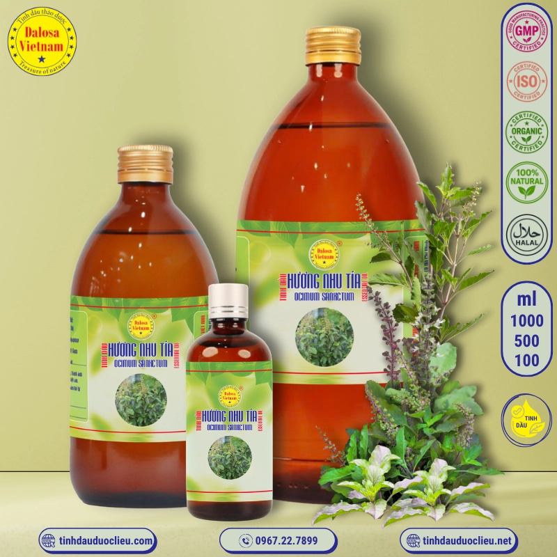tinh dau huong nhu tia ocimum sanctum ocimum tenuiflorum ocimum sanxctum holy basil sacred basil tulsi ocimum tenuiflorum essential oil